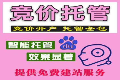 百度推广收费标准与效果：一则旅游行业的成功广告